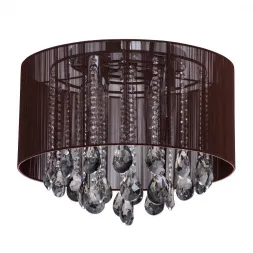 Потолочная люстра MW-Light Жаклин 465014506
