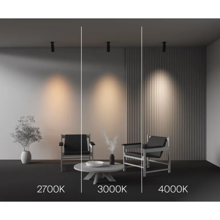 Спот Maytoni Technical Focus Led C055CL-L20W2.7-3-4K-M-B