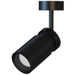 Накладной спот Arte Lamp Presto A6193PL-1BK