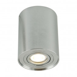 Потолочный светильник Arte Lamp A5644PL-1SI