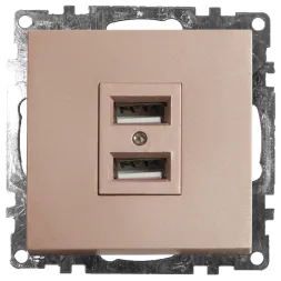 Розетка USB 2-местная Stekker Катрин 39602
