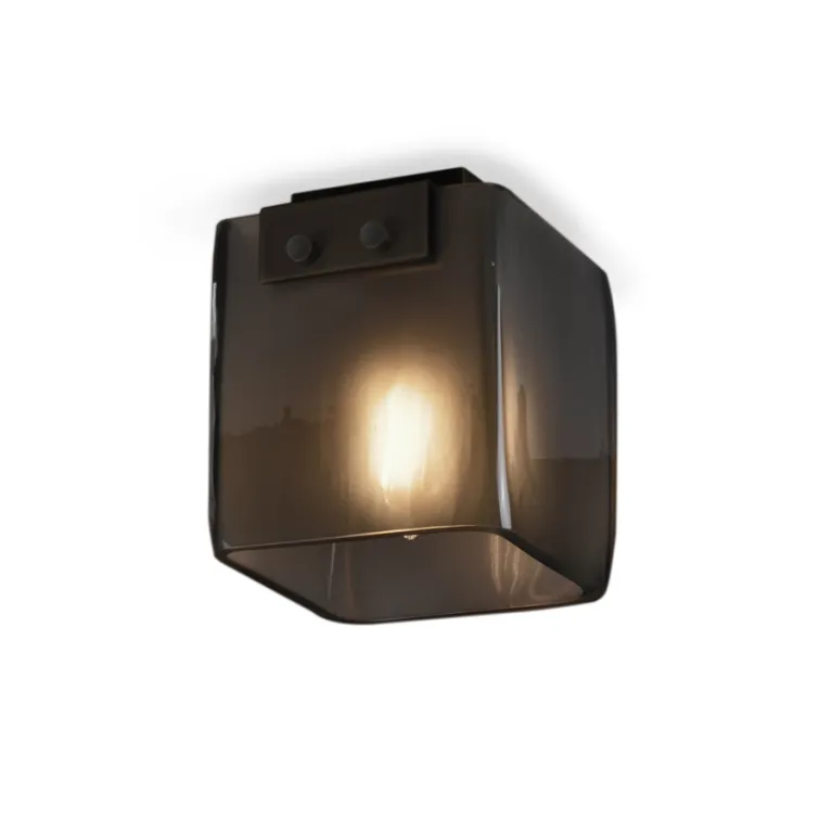 Потолочный светильник Delight Collection Malbridge 5061C black/smoky