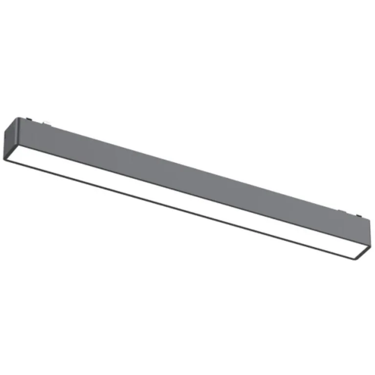 Трековый магнитный светильник Aployt Magnetic track 48 APL.0101.01.15