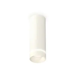 Потолочный светильник Ambrella Light Techno Spot XS6342041 (C6342, N6228)