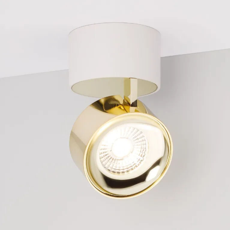 Накладной спот Arlight SP-PLURIO-SURFACE-R77-9W Day4000 (WH-BRS, 36 deg, 230V) 040398
