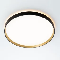 Потолочный светильник Citilux Etalon CL750401R
