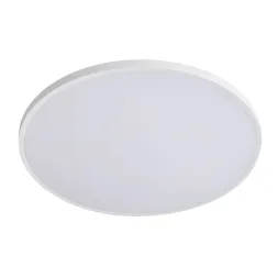 Настенно-потолочный светильник Lightstar Arco Eco 225740