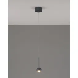 Подвесной светильник Moderli Fiona V10893-PL