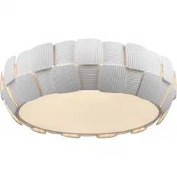 Потолочный светильник Divinare Beata 1317/01 PL-6