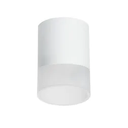 Накладной светильник Lightstar Rullo (213486+202481) R348681