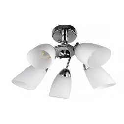 Потолочная люстра Toplight Carmel TL3600X-05CH