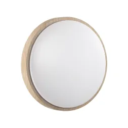 Настенно-потолочный светильник Sonex Pale Losta 7607/CLN