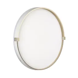 Настенно-потолочный светильник Sonex Pale Olidi White 7646/ELN