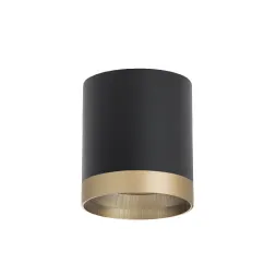 Накладной светильник Lightstar Rullo (213487+203490) R348790
