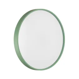 Настенно-потолочный светильник Sonex Color Mavic 7743/ELN