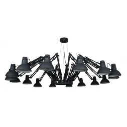 Подвесная люстра Arte Lamp Ragno A2043SP-16BK