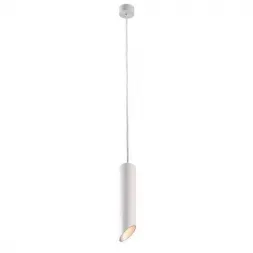 Подвесной светильник Arte Lamp Pilon-Silver A1536SP-1WH