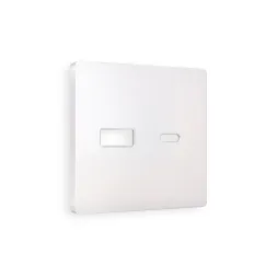 Лицевая панель для розетки 2USB тип A+C Ambrella Volt Alfa AP2110