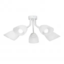Потолочная люстра Vitaluce V3184/5PL