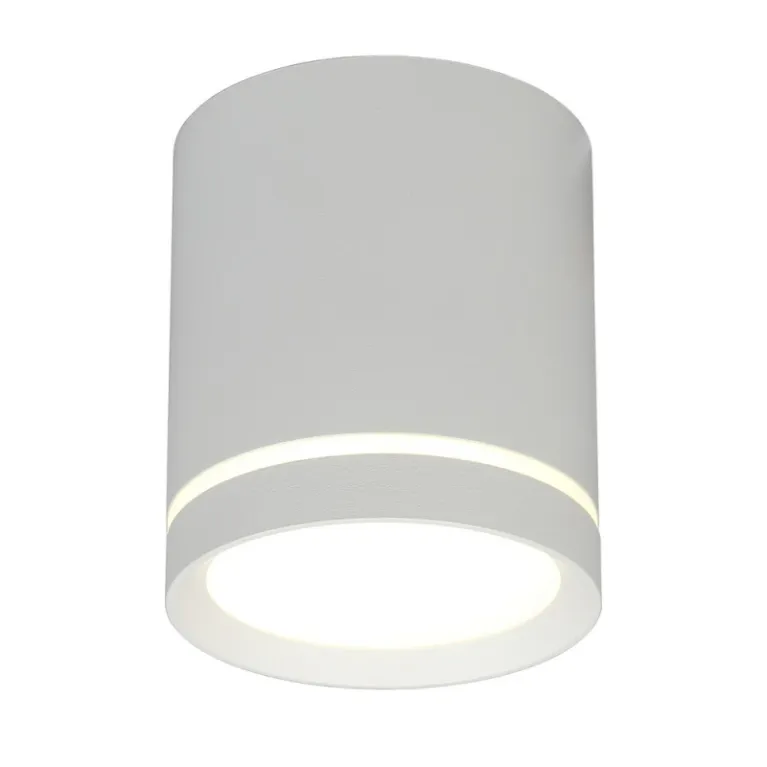 Накладной светильник Omnilux Capurso OML-102429-05