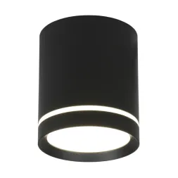 Накладной светильник Omnilux Capurso OML-102439-05