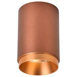 Точечный накладной светильник Wertmark Stecken WE801.01.607+WE803.RG.400