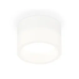 Потолочный светильник Ambrella Light Techno Spot XS8101015 (C8101, N8401)