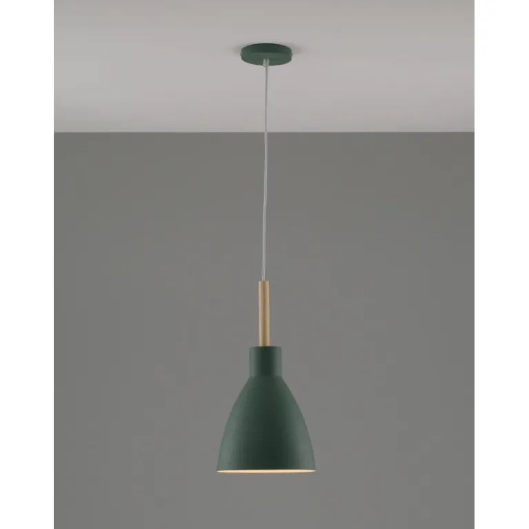 Подвесной светильник Moderli Toni V10651-1P