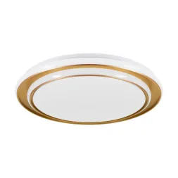 Настенно-потолочный светильник Eglo Moschetta 902045