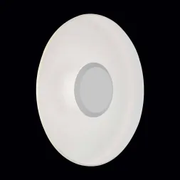 Уличный настенный светодиодный светильник ST Luce SL925.501.01