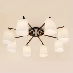 Потолочная люстра Citilux Лора CL146181