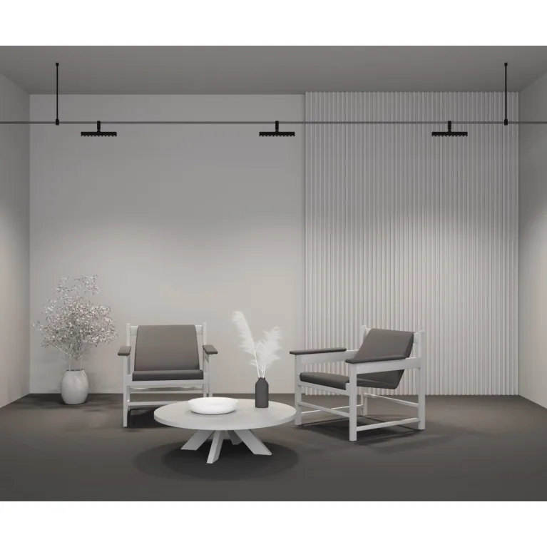 Трековый магнитный светильник Maytoni Points Rot TR203-1-10W3K-S-B