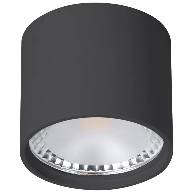 Накладной светильник Wertmark WTA.O02.607.V0.07