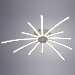 Потолочная светодиодная люстра Arte Lamp A2519PL-12WH