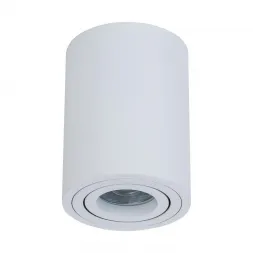 Потолочный светильник Maytoni Alfa C016CL-01W