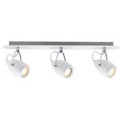 Спот Paulmann Drop 60341