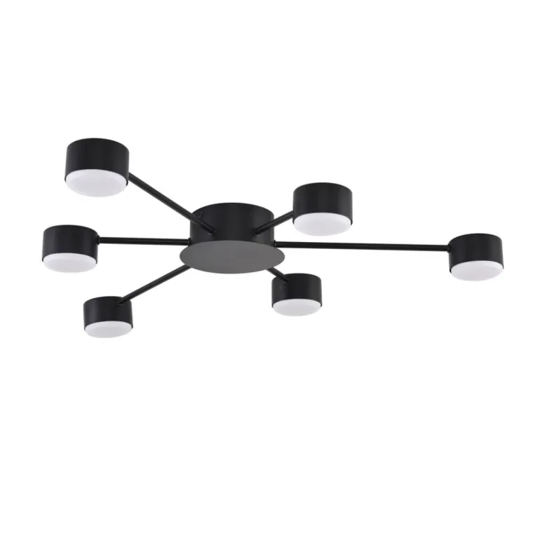 Потолочная люстра Lumion Comfi Torina 8344/6C