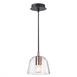 Подвесной светильник Lumion Joseph 4455/1