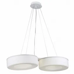 Подвесной светодиодный светильник ST Luce Lordin SL886.503.02