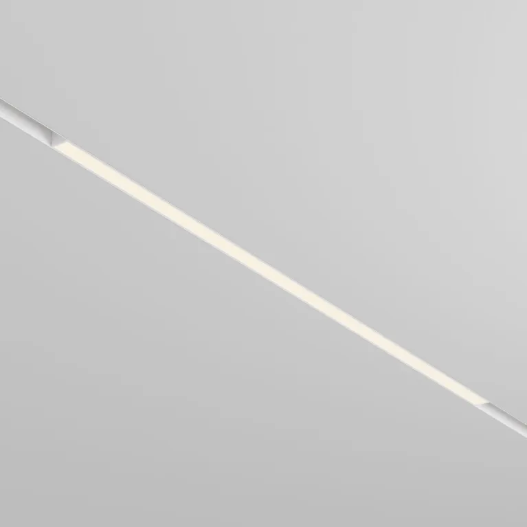 Трековый магнитный светильник Maytoni Basis TR030-2-30W4K-W