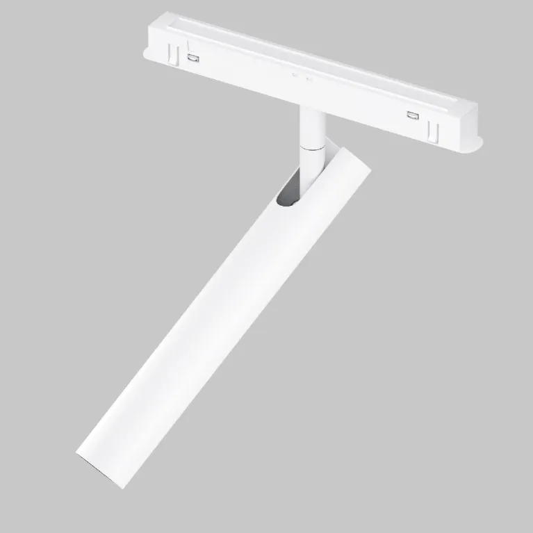 Трековый магнитный светильник Maytoni Focus T TR141-2-6W3K-M-W