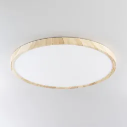 Потолочный светильник Citilux Бейсик CL738322V