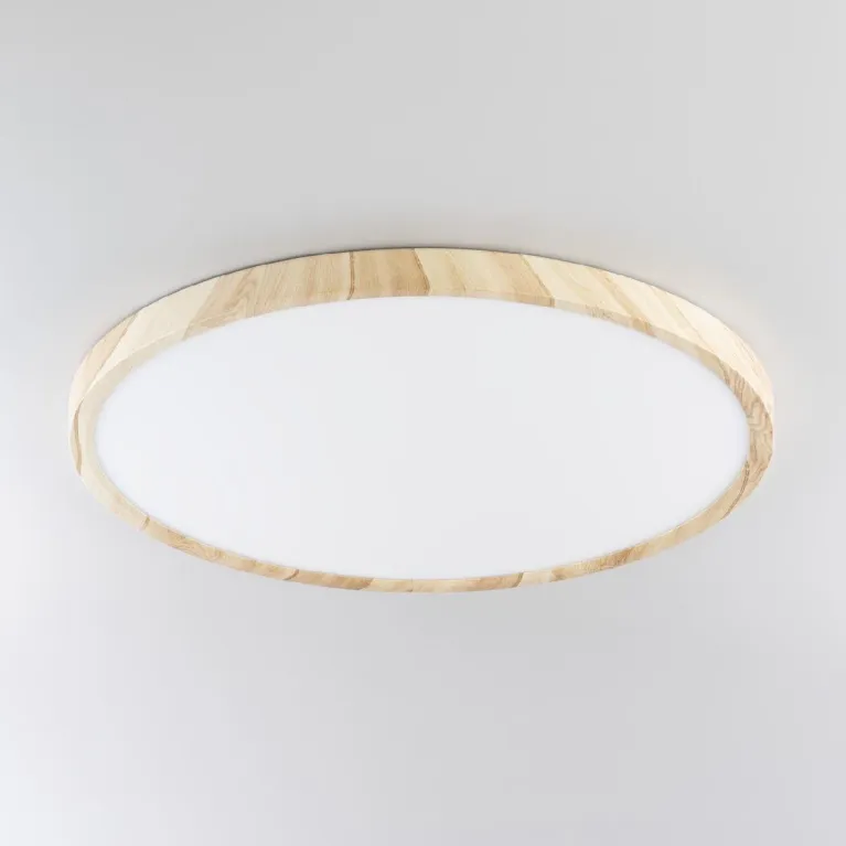 Потолочный светильник Citilux Бейсик CL738322V
