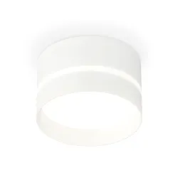 Потолочный светильник Ambrella Light Techno Spot XS8101020 (C8101, N8461)