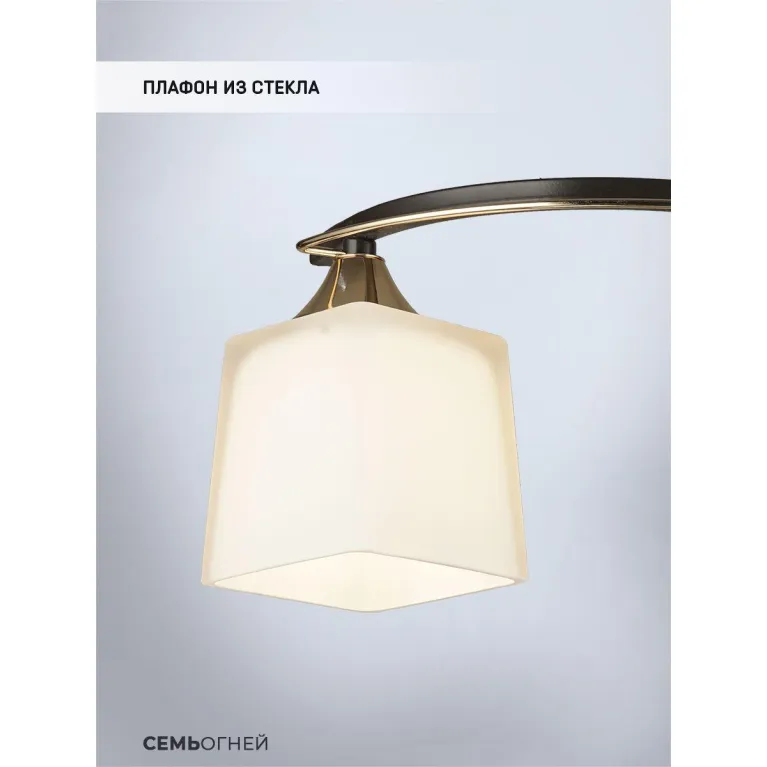 Потолочная люстра Seven Fires Birti WD3513/2C-CF-FGD-WT