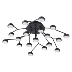 Потолочная светодиодная люстра Odeon Light Stardust 3865/80CL