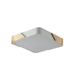 Потолочный светильник Zortes Alberro ZRS.01285.48