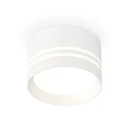 Потолочный светильник Ambrella Light Techno Spot XS8101021 (C8101, N8477)