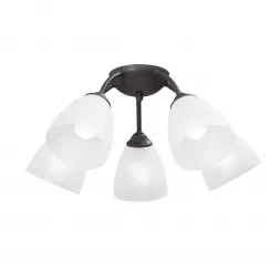 Потолочная люстра Vitaluce V3737-2/5PL