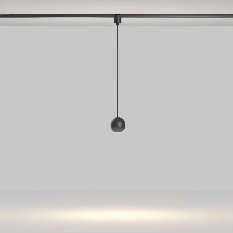 Трековый подвесной магнитный светильник Maytoni Sfera TR165-1-8W3K-M-B